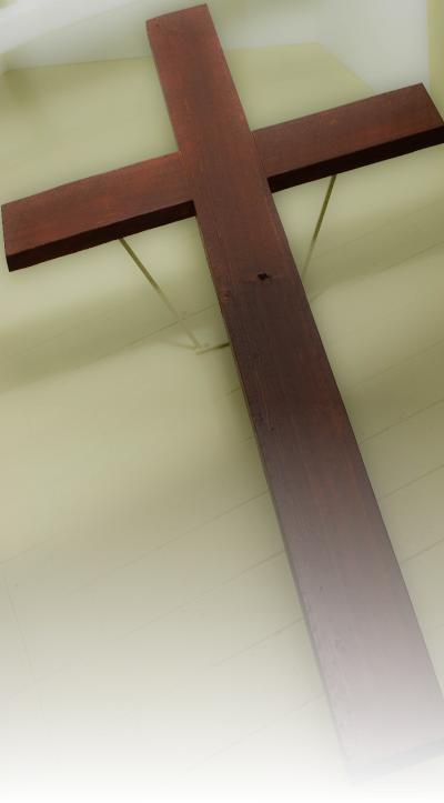 Gallery Cross